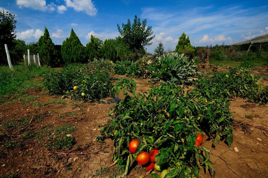 Domaine De Majastre Bed & Breakfast Bauduen Bagian luar foto