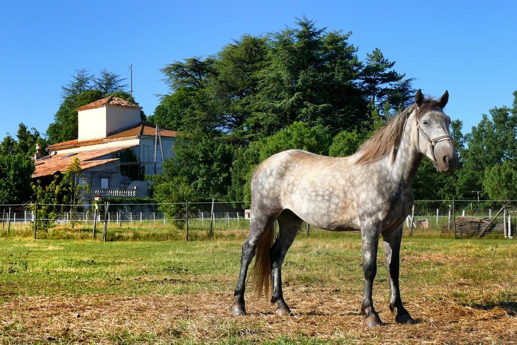 Domaine De Majastre Bed & Breakfast Bauduen Bagian luar foto